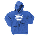 Youth Hoodie