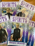 Vinyl Banners