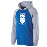 Youth Banner Hoodie
